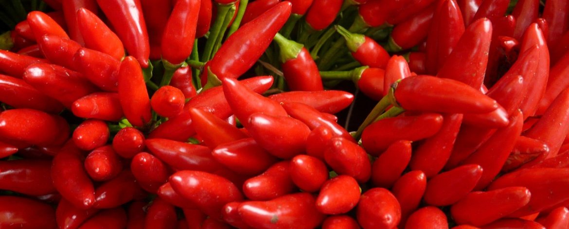 Peperoncino Peperoncino