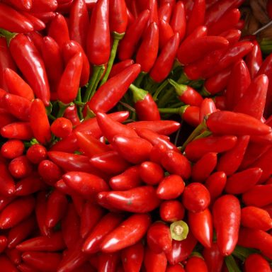 Peperoncino