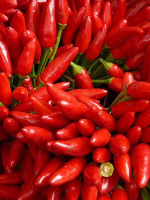 Peperoncino