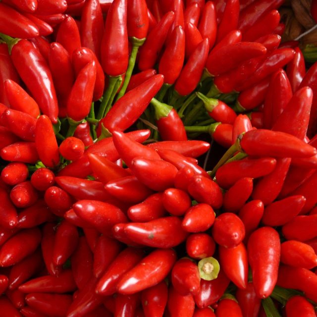 Peperoncino