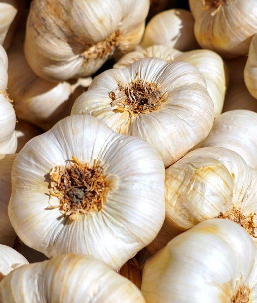 Aglio